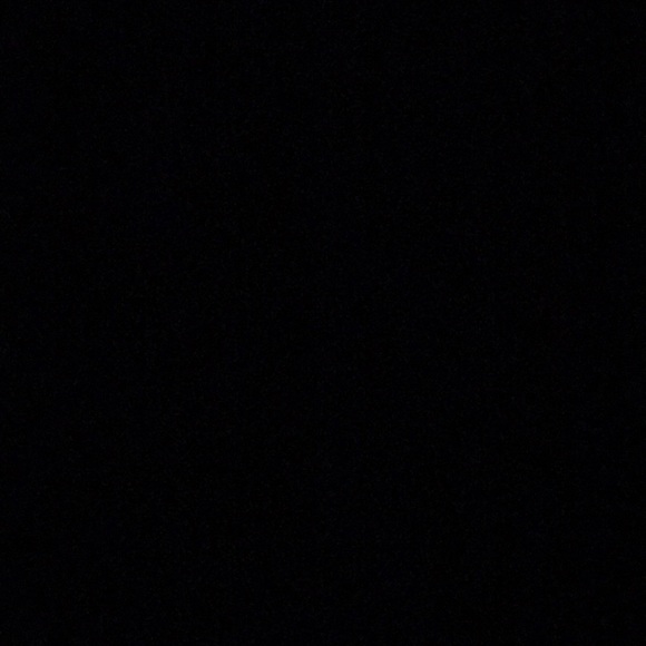 Meet your Posher, Abby - Picture 1 of 1